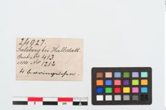 Etiketten zu Bronzeringperle (NHMW-PRAE-024927)